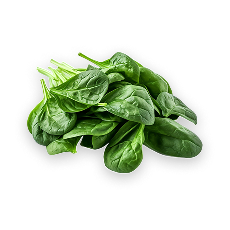 SPINACH