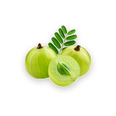 AMLA