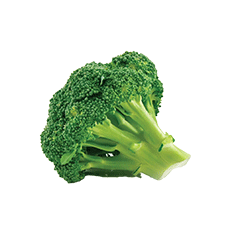 Broccoli Extract