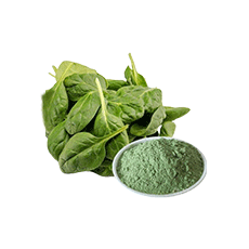 Spinach Extract